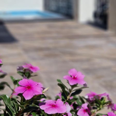 Del Parque Flats Balneario De Pina Villa Málaga Eksteriør bilde