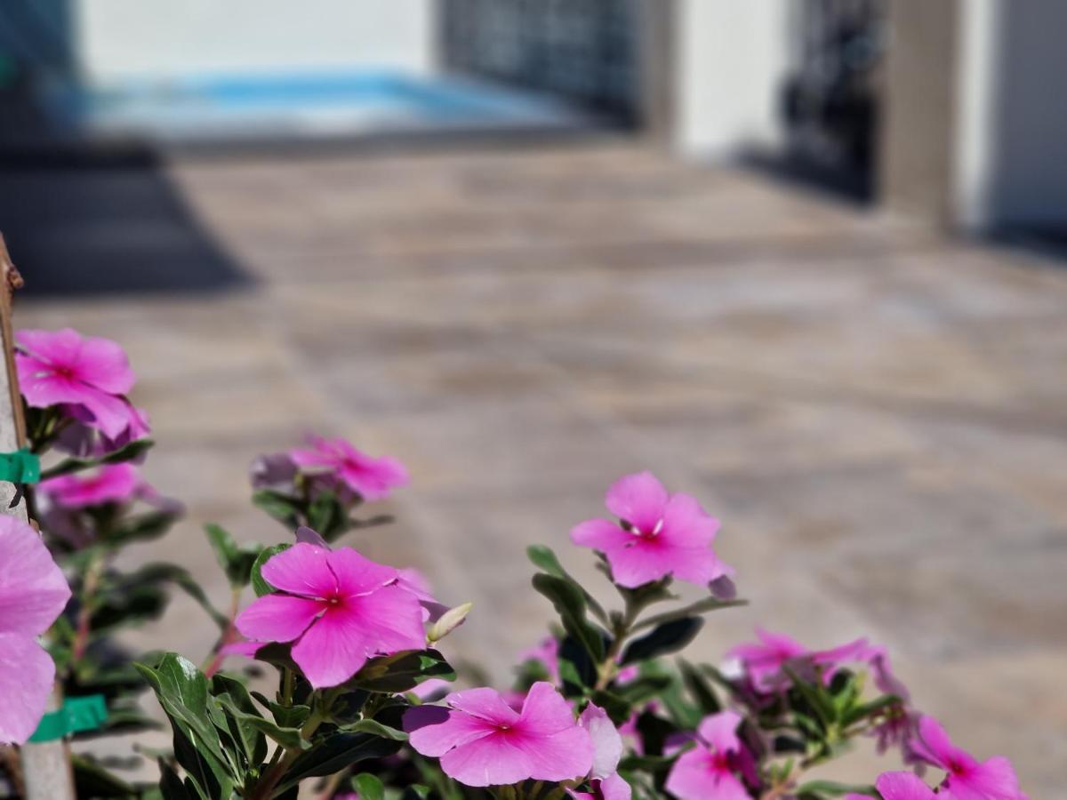 Del Parque Flats Balneario De Pina Villa Málaga Eksteriør bilde